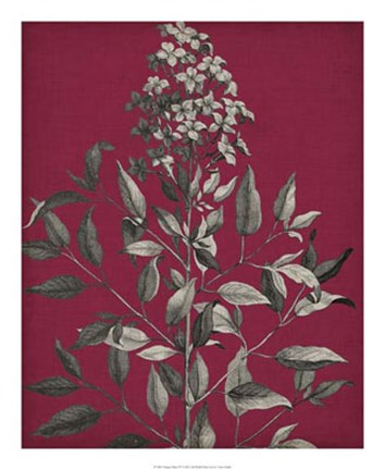 Framed Vivid Chintz IV Print