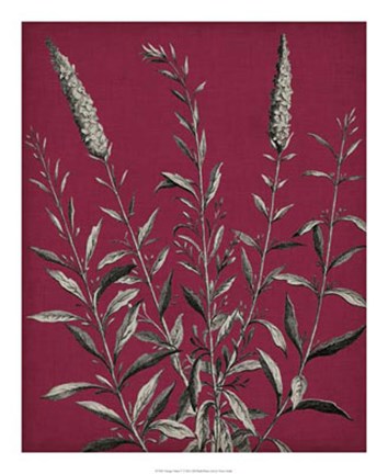 Framed Vivid Chintz V Print