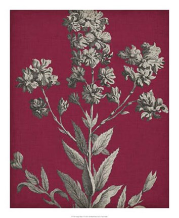 Framed Vivid Chintz VI Print