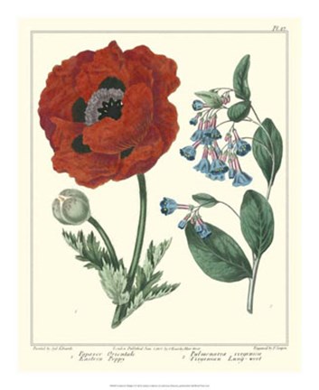 Framed Gardener&#39;s Delight I Print