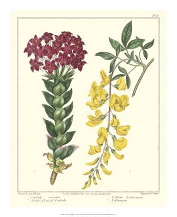 Framed Gardener&#39;s Delight V Print