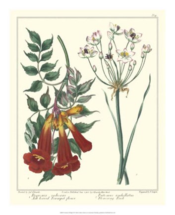 Framed Gardener&#39;s Delight VI Print