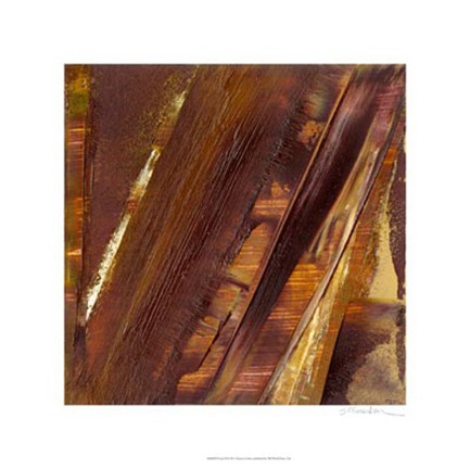 Framed Forest II Print