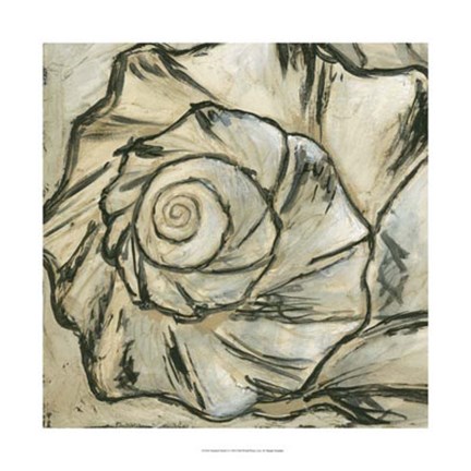 Framed Seashell Spiral I Print