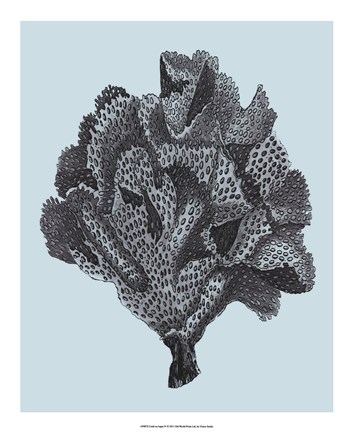 Framed Coral on Aqua IV Print