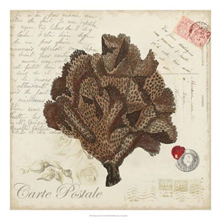 Framed Romance du Mer IV Print