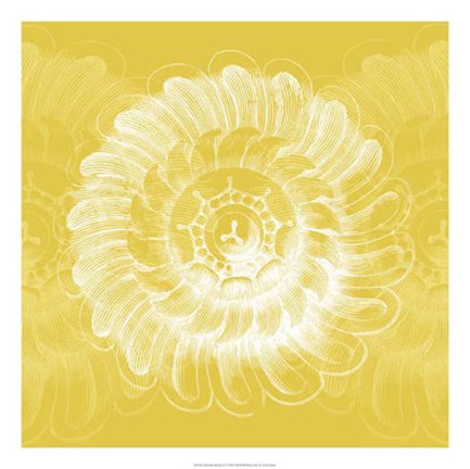 Framed Chromatic Rosette IV Print