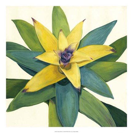 Framed Tropical Bloom I Print