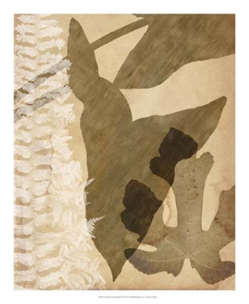 Framed Pressed Leaf Assemblage III Print