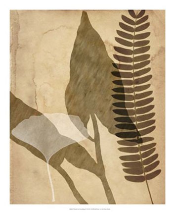 Framed Pressed Leaf Assemblage IV Print