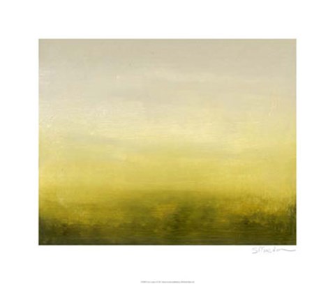 Framed Low Country I Print