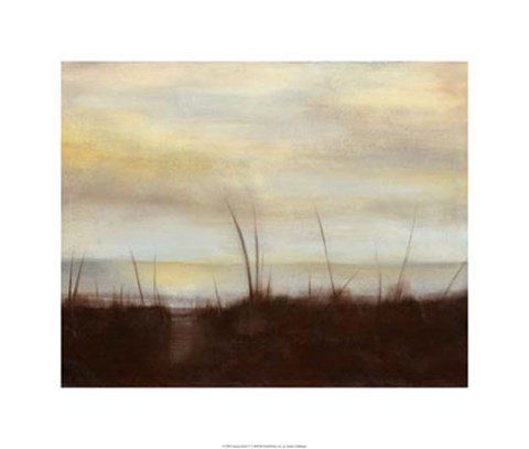 Framed Sunrise Stroll IV Print