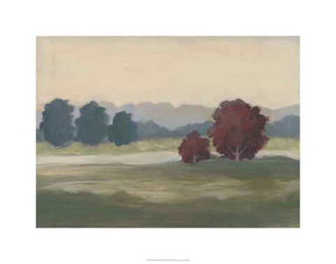 Framed Morning Haze I Print