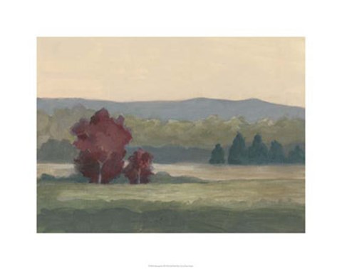 Framed Morning Haze II Print