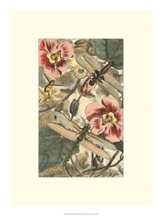 Framed Dancing Dragonfly II Print