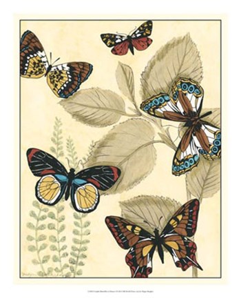 Framed Graphic Butterflies in Nature I Print