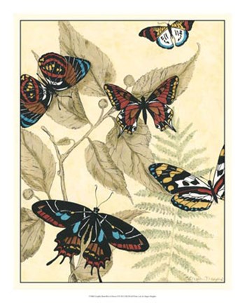 Framed Graphic Butterflies in Nature II Print