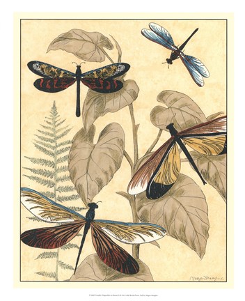 Framed Graphic Dragonflies in Nature II Print