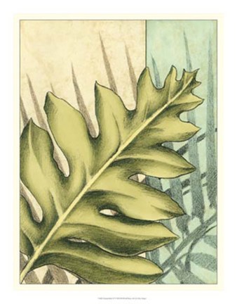 Framed Tropical Shade IV Print