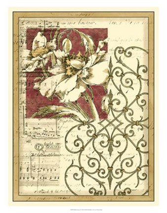 Framed Bella Sonata I Print