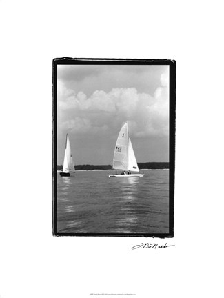 Framed Ocean Breeze III Print