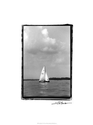 Framed Ocean Breeze IV Print