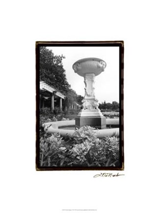 Framed Garden Elegance VII Print