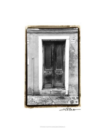 Framed Doors of Venice II Print