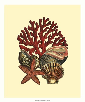 Framed Coral Medley I Print