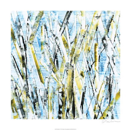 Framed Birches IV Print