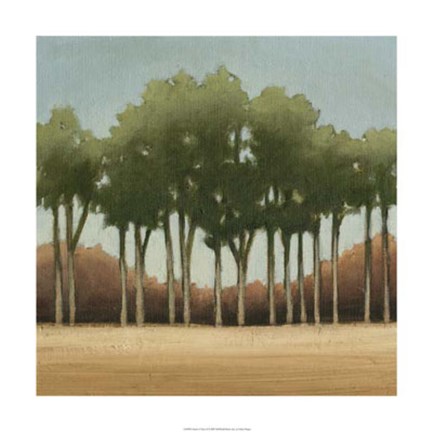 Framed Stand of Trees II Print