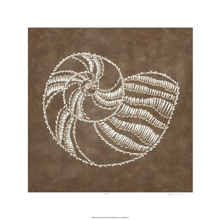 Framed Embroidered Shells II Print