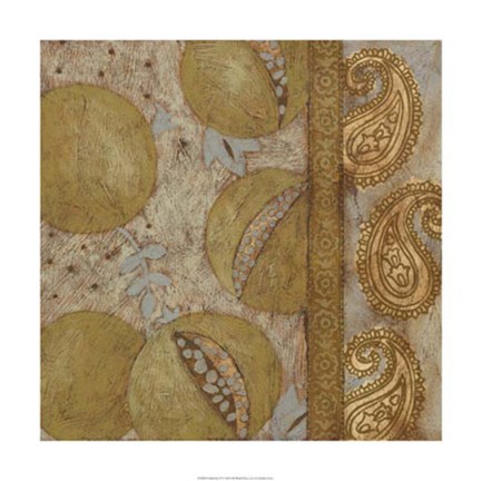 Framed Gilded Sari IV Print