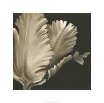 Framed Classical Blooms I Print