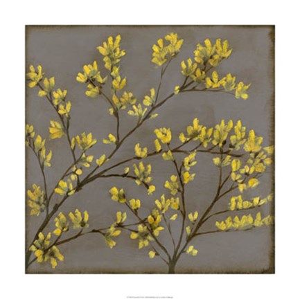 Framed Forsythia I Print