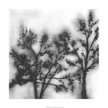 Framed Silvery Trees II Print