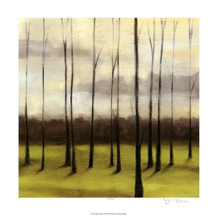 Framed Sunlit Treeline I Print