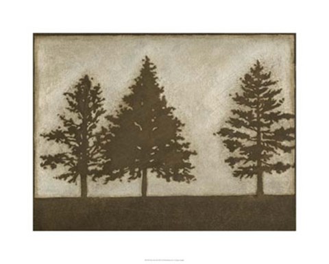 Framed Silver Pine II Print