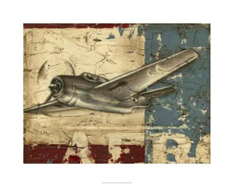 Framed Vintage Aircraft II Print
