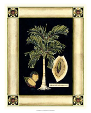 Framed Paradise Palm V Print