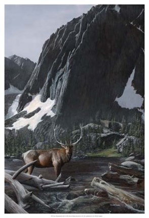 Framed Mountainside Elk I Print