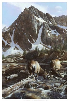 Framed Mountainside Elk II Print