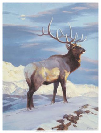 Framed Royal Morning Print