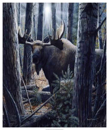 Framed King of the Northwoods Print