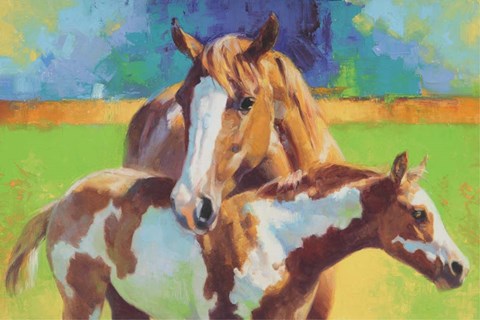 Framed Morning Colors Print