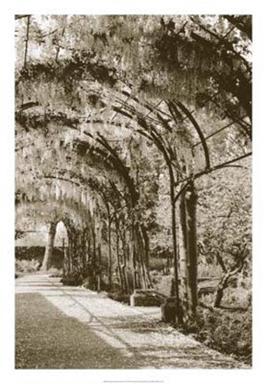 Framed Queen's Garden, Kew, UK Print