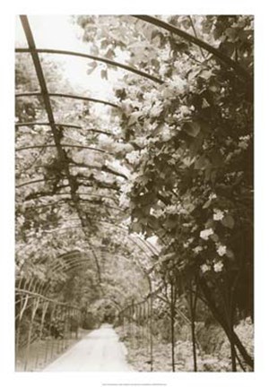 Framed Royal Botanical Garden, Madrid Print