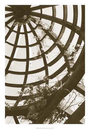 Framed Pergola Basket Print