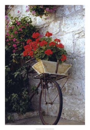 Framed Flower Box Bike Print