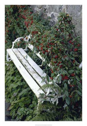 Framed White Bench Print